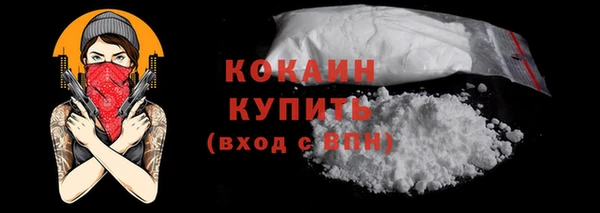 spice Бородино