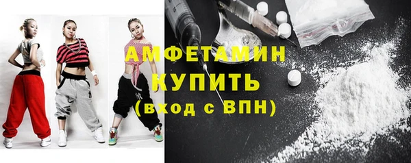 шишки Сатка