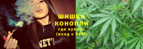 шишки Сатка